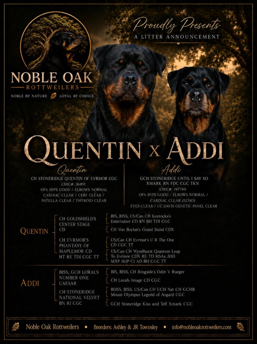 Spring 2026 Litter announcement